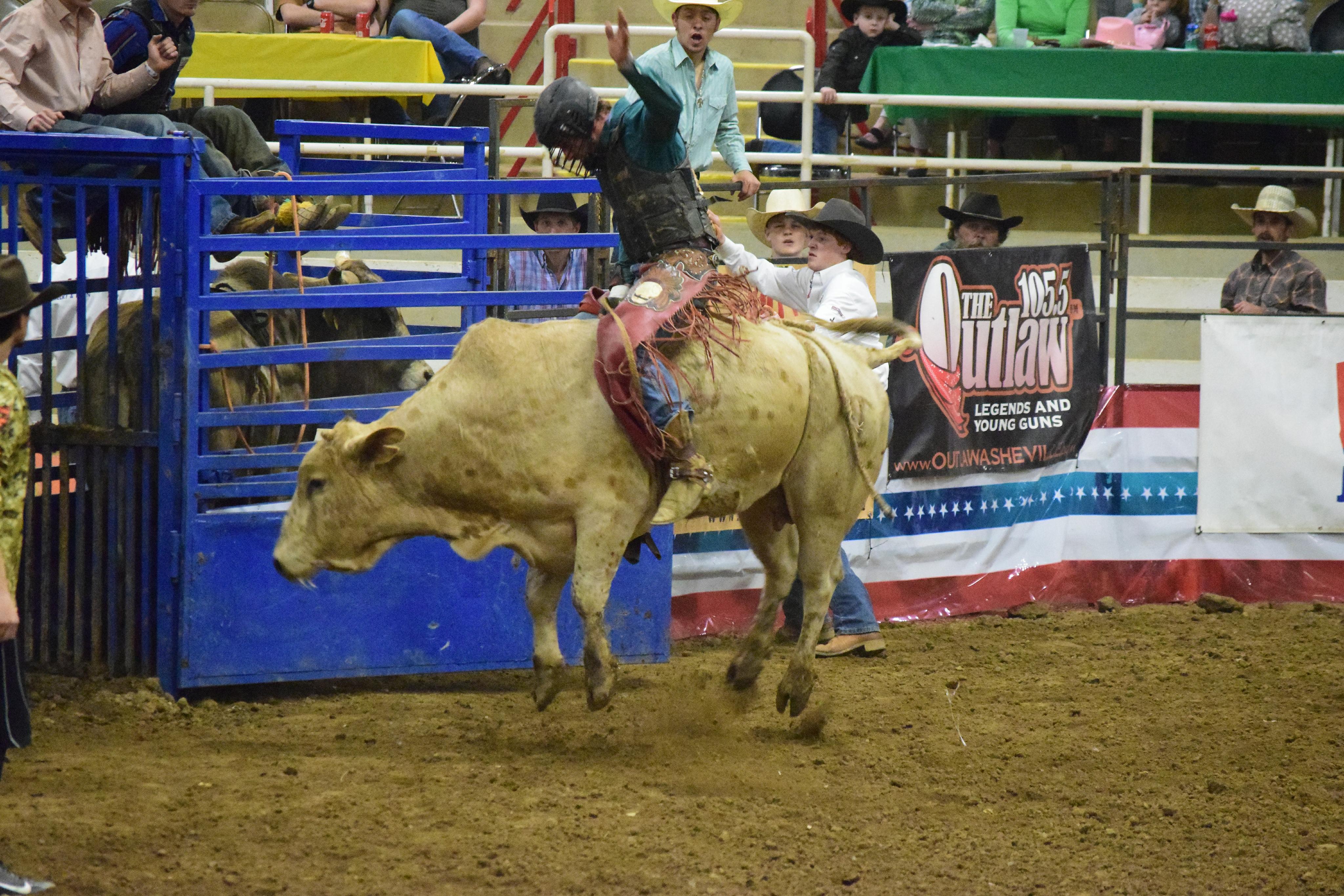 Rodeo Gallery Redneck Rodeos