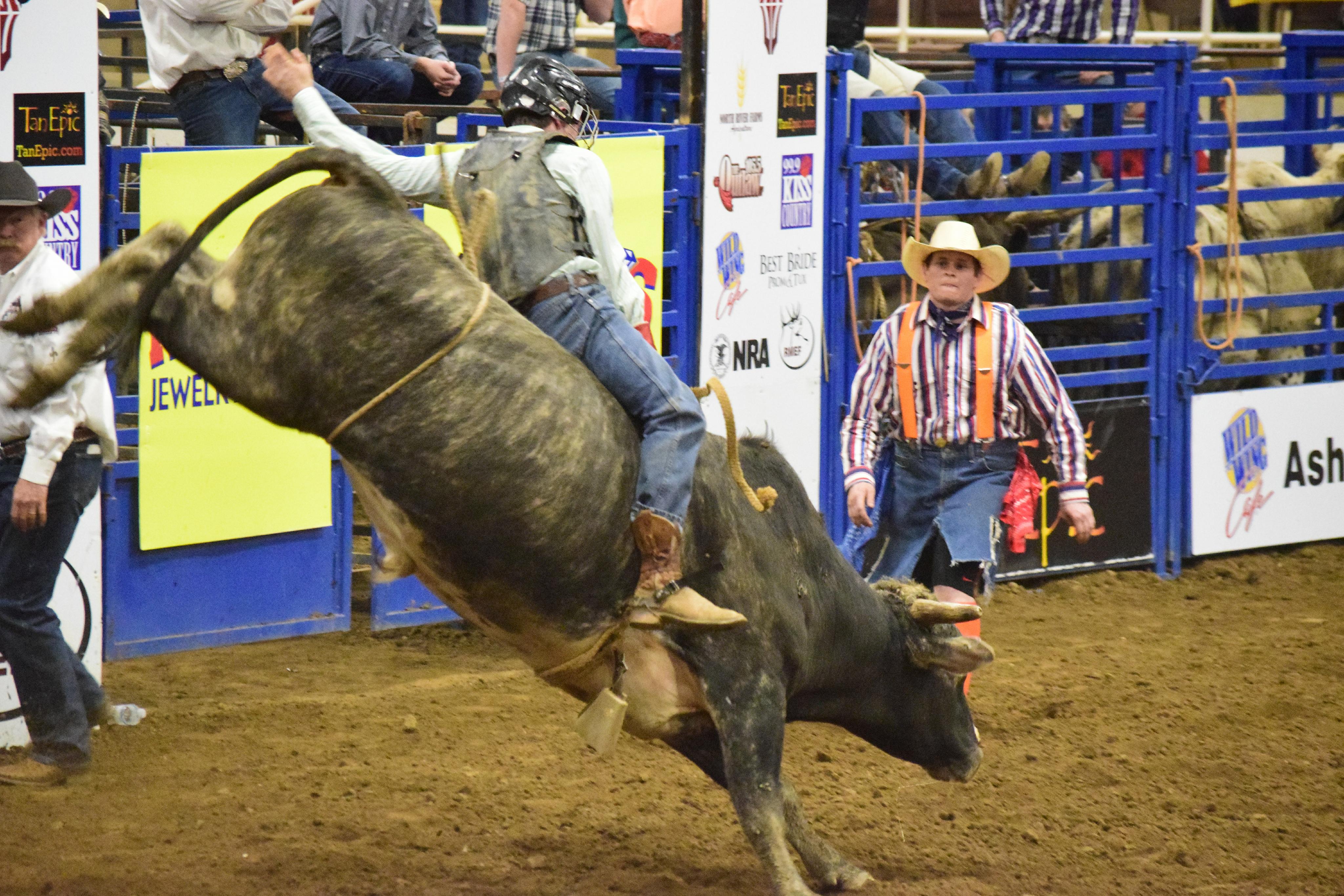 Rodeo Gallery Redneck Rodeos