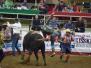 Bullmania 2017