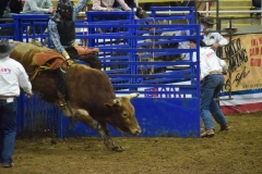 34050749_10155380138831860_2876396424843493376_n