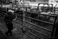 Redneck_Rodeos13