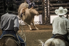 Redneck_Rodeos18