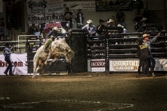 Redneck_Rodeos19
