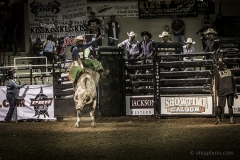 Redneck_Rodeos20