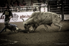Redneck_Rodeos22