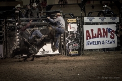 Redneck_Rodeos24
