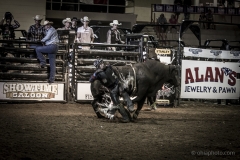 Redneck_Rodeos29