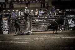 Redneck_Rodeos30