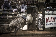 Redneck_Rodeos35-300x200