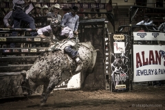Redneck_Rodeos35