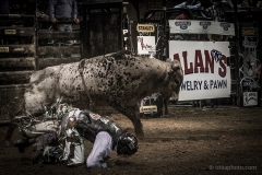 Redneck_Rodeos36