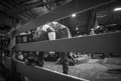 Redneck_Rodeos41
