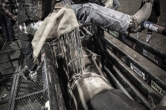 Redneck_Rodeos45