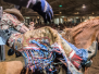 SRA National Finals 2014